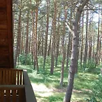 Edmundas Palanga