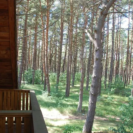 Edmundas Паланга