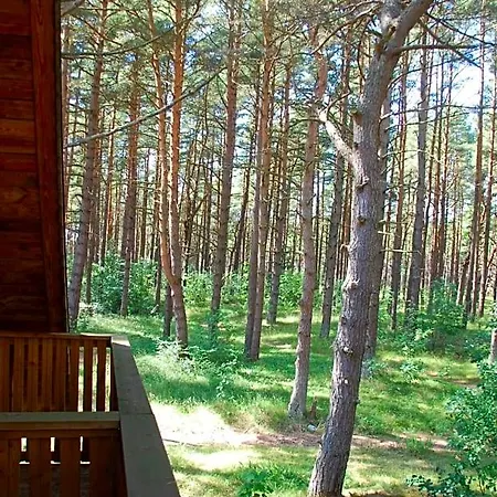 Lodge Edmundas *